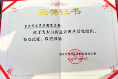 百年集團(tuán)黨支部回報(bào)社會(huì)，努力踐行社會(huì)責(zé)任與