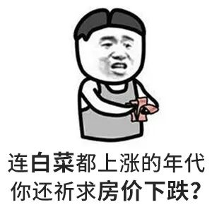 請(qǐng)給我一個(gè)房?jī)r(jià)會(huì)跌的理由？水泥漲價(jià)10%-15%，木材漲15%-30%...唯獨(dú)到手的錢少了，此時(shí)不買房，更待何時(shí)？