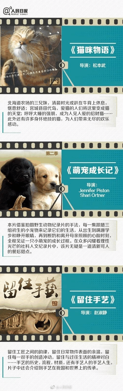 人民日報推薦！小長假陪孩子看這些紀錄片，勝過出門玩五天