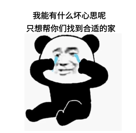 我一個賣房子的能有什么壞心思呢？無非就是給你們一個溫暖的家 ，可以娶老婆，可以貸款，可以上學(xué)，幾年后還可以翻倍賺好多錢！