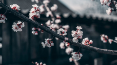 有些時(shí)候，我們所做的一些小事，在不經(jīng)意間，
