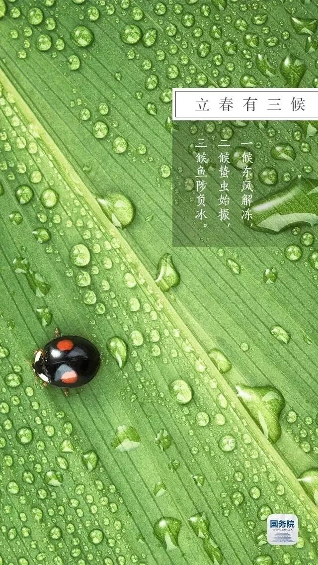 今日立春 | 在這里，邂逅最美春天……