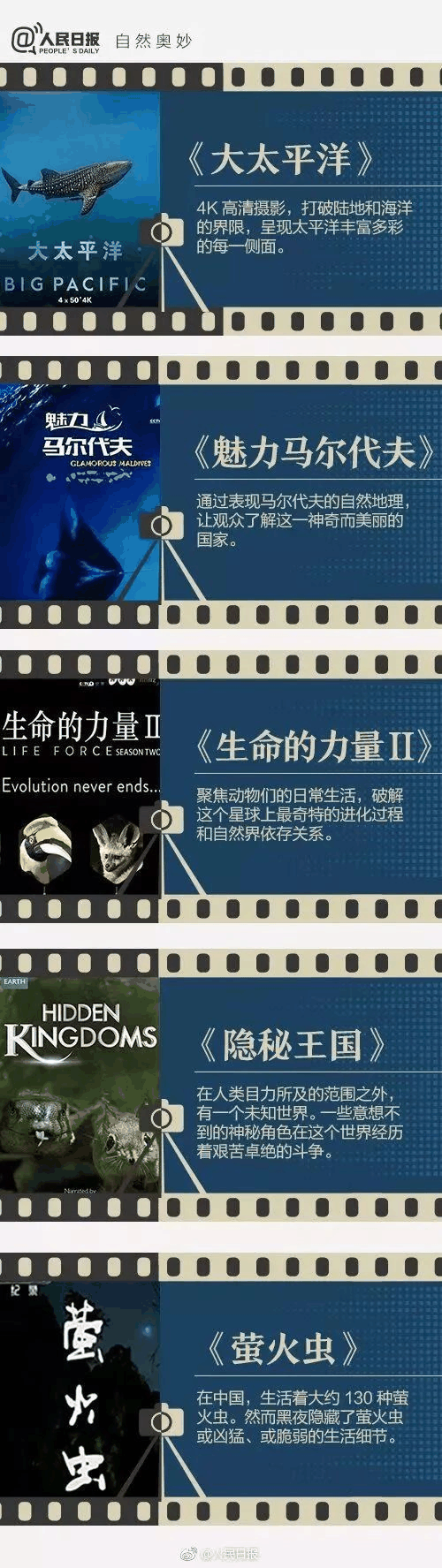 《人民日報》推薦給學生的40部紀錄片，適合孩子