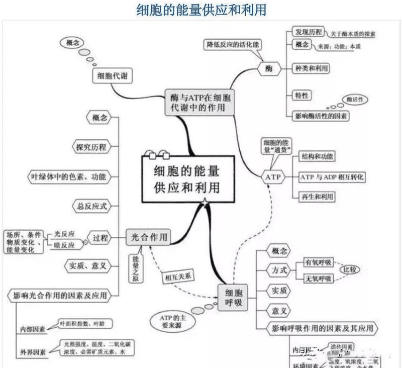 高中生這樣進(jìn)行課后復(fù)習(xí)比聽(tīng)課都重要，您孩子做到了嗎？