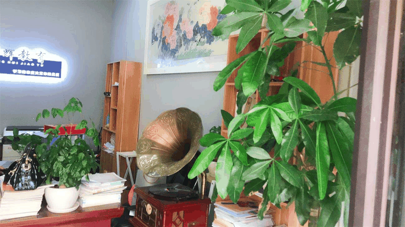 百年教育強勢進駐云陽，著力打造教育培訓事業(yè)新高地！