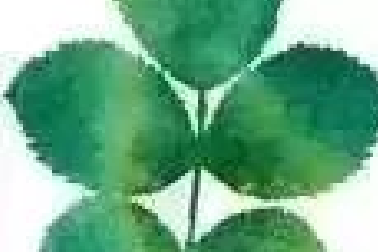 ?沒(méi)有什么事情是不苦的，尤其是舞蹈