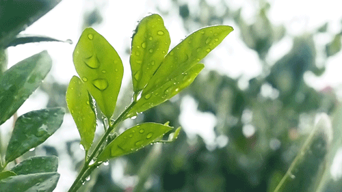 寫(xiě)給即將中考的你：最后一段，愿你穩(wěn)穩(wěn)地幸福！