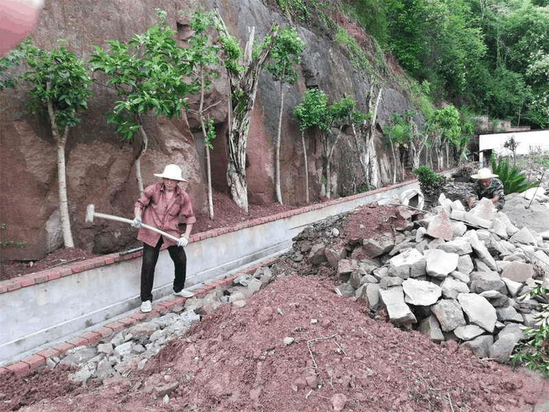 百年書院擴(kuò)建工程項目建設(shè)正如火如荼推進(jìn)