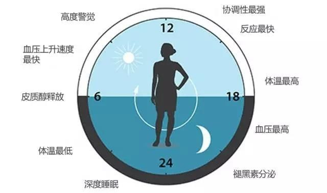請轉給晚睡的學生：熬夜學習精神可嘉，但方法不可??！